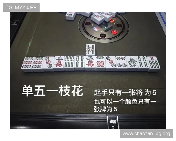 麻将胡了2电脑版新手入门指南详细讲解游戏规则和基本玩法技巧